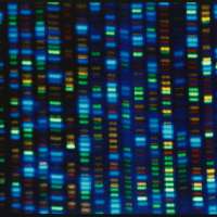 Studies test whether gene-editing can fix high cholesterol. For now, take your medicine