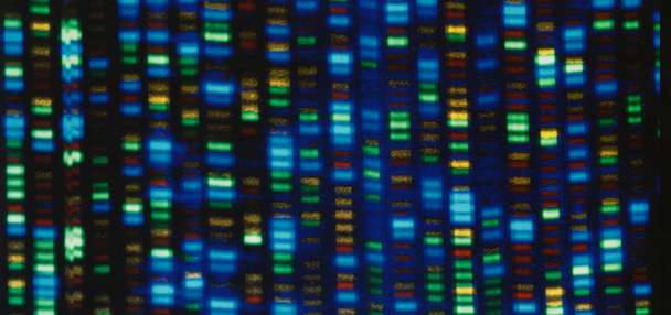 Top U.S. story anchor