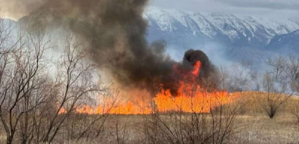 Firefighters urge caution after February brush fire in Saratoga Springs