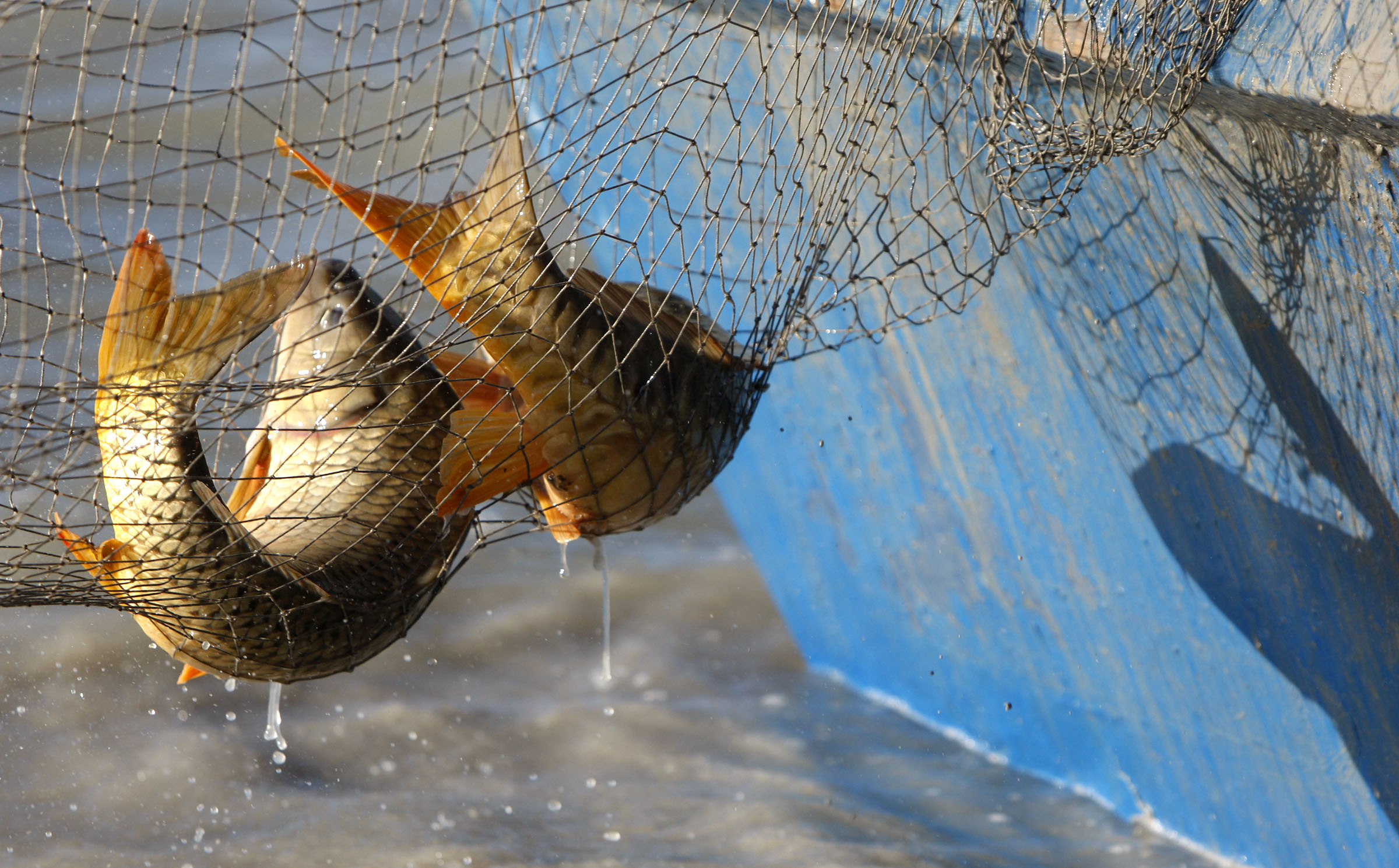 Utah Lake near Saratoga Springs is pictured in an undated photo. The Utah Lake Authority has announced its second annual "Great Carp Hunt" in efforts to protect the ecosystem.