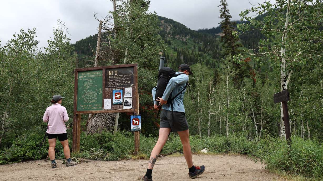 Hikers start the White Pine Trail in Little Cottonwood Canyon on Aug. 2, 2022. The Forest Service is planning to hire 2,000 seasonal workers for summer 2026.