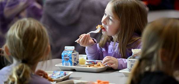 Will state taxes gleaned from alcohol sales help pay for school meals for more Utah kids?
