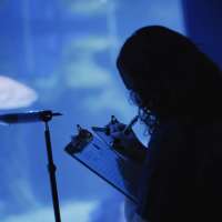 Do sharks hear the noise of aquarium patrons? BYU researchers wanted to find out