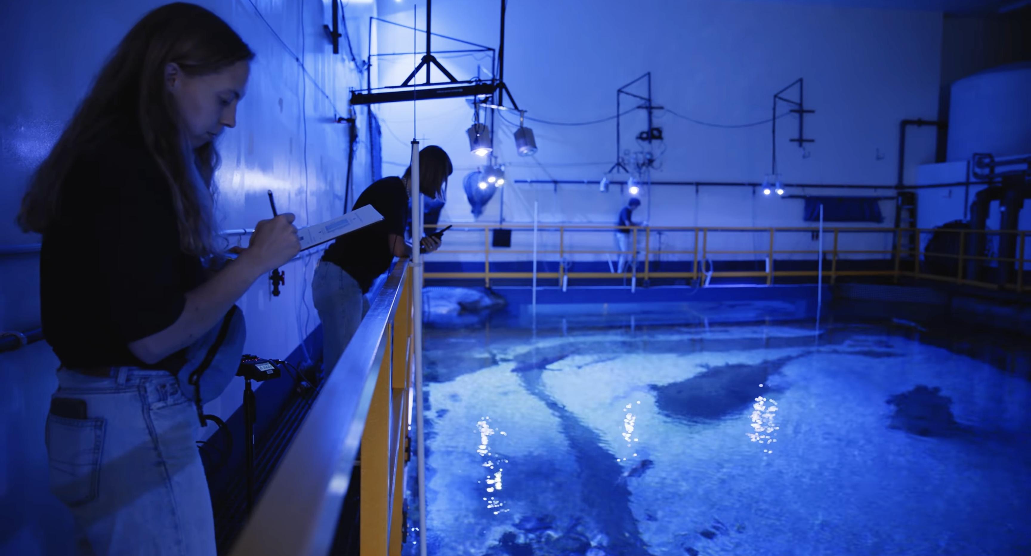 BYU students study how noise travels through the tanks at the Loveland Living Planet Aquarium in Draper to see if sharks and other aquatic animals are being affected by patrons.