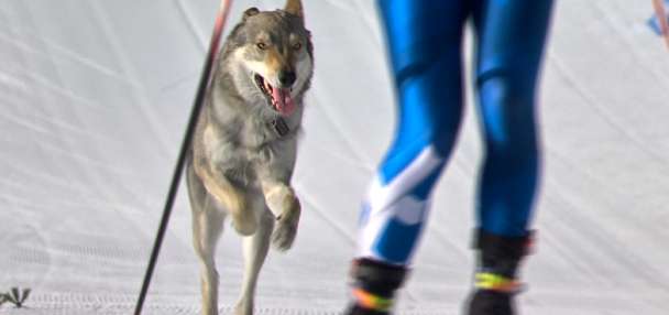 Top Features story anchor