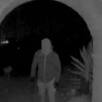 Savannah Guthrie offers up to $1M for information about her mother in new Instagram video