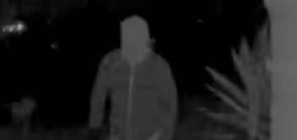 Savannah Guthrie offers up to $1M for information about her mother in new Instagram video