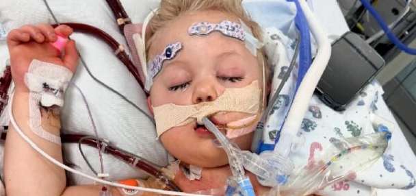 South Weber family holding onto hope for 3-year-old on life support