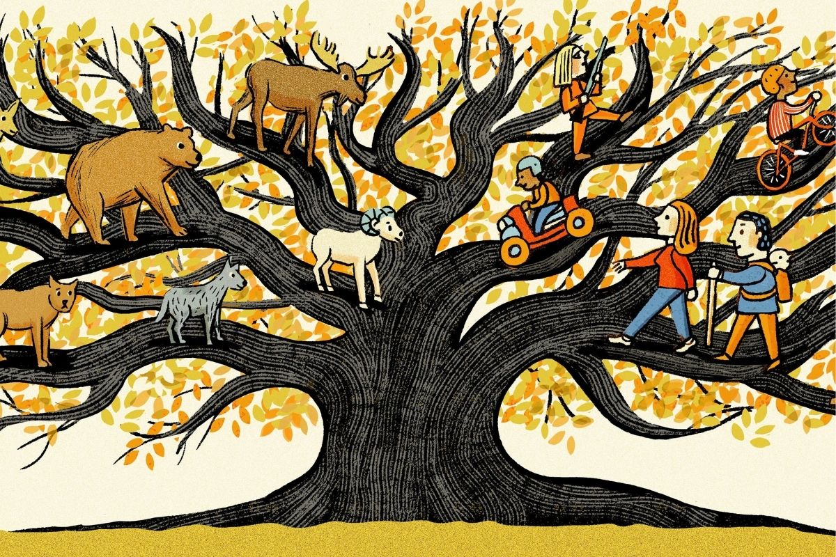 From Thoreau to Ronald Reagan — the debate over wild lands