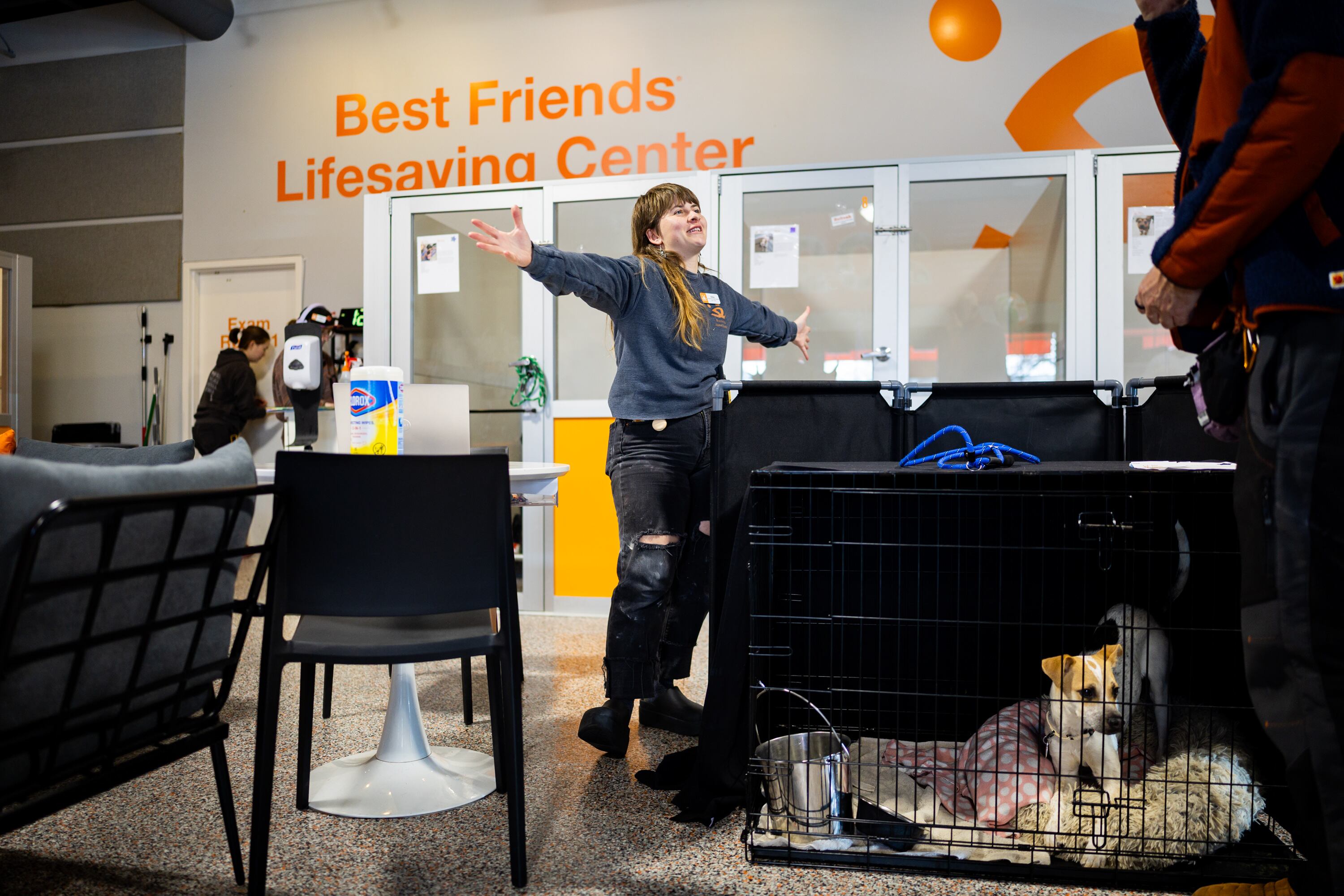 Utah lawmakers make efforts to help animals in shelters