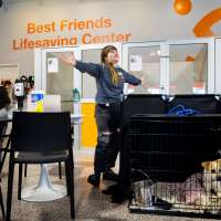 Utah lawmakers make efforts to help animals in shelters