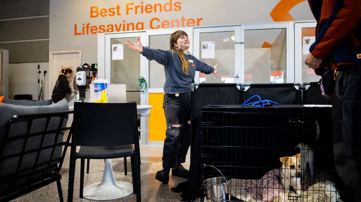 Erika Wynn greets Lars Tatom as he returns dog Cricket after they went on a walk outside the Best Friends Animal Society in Salt Lake City on Wednesday. Legislation is in progress to help the state's furry friends in animal shelters.