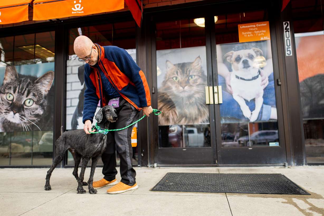 Lars Tatom, volunteer with the Best Friends Animal Society, takes Benny on a walk outside the Best Friends Animal Society in Salt Lake City on Wednesday. Utah lawmakers are working on legislation to aid shelter animals.