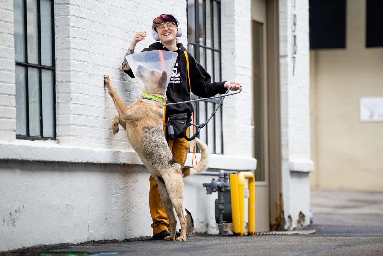 Rose Marcin, senior lifesaving and care specialist at Best Friends Animal Society, takes Archie on a walk outside the Best Friends Animal Society in Salt Lake City on Wednesday. Utah lawmakers are working on legislation to aid shelter animals.