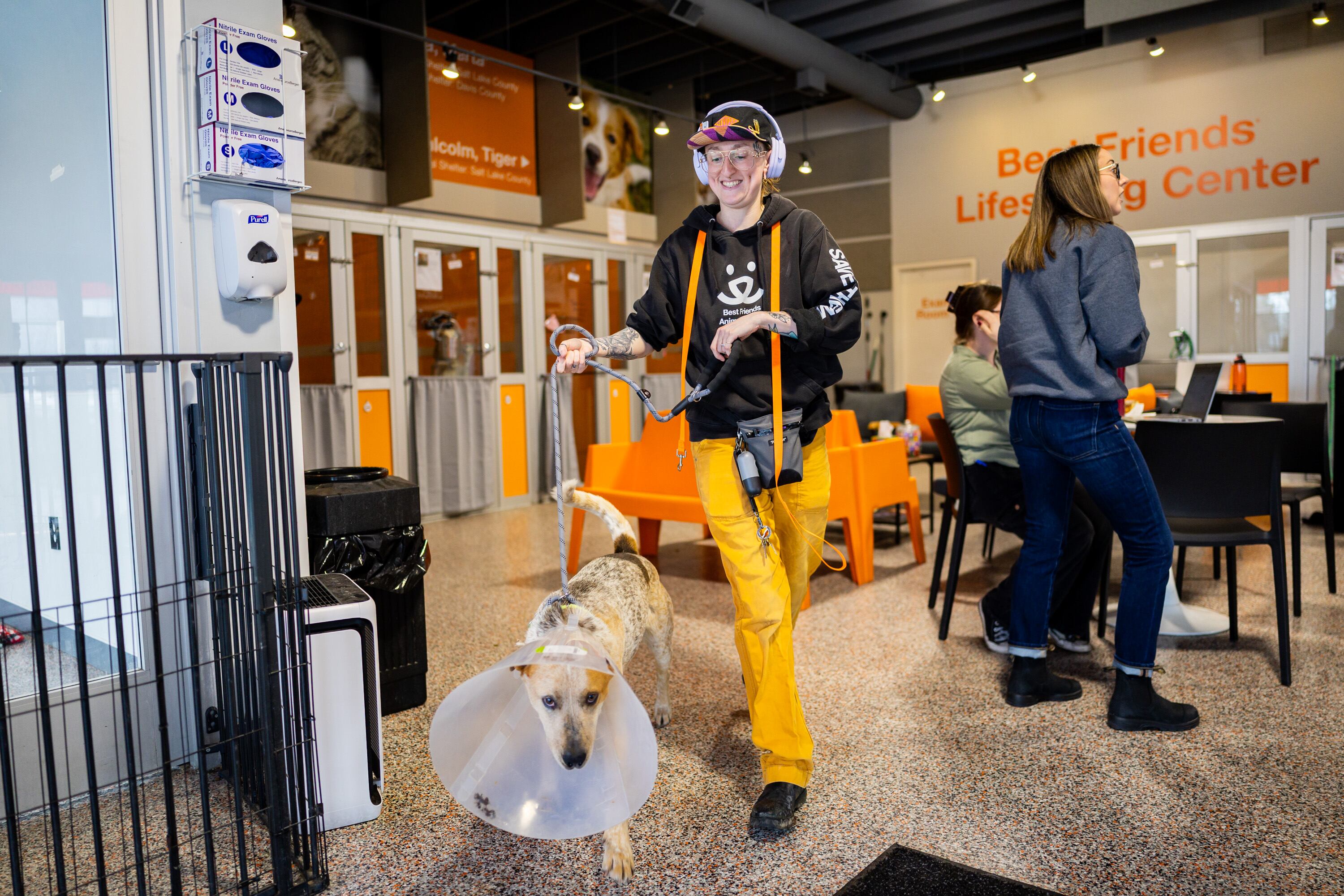 Rose Marcin, senior lifesaving and care specialist at Best Friends Animal Society, takes Archie on a walk at the Best Friends Animal Society in Salt Lake City on Wednesday. Utah lawmakers are working on legislation to aid shelter animals.