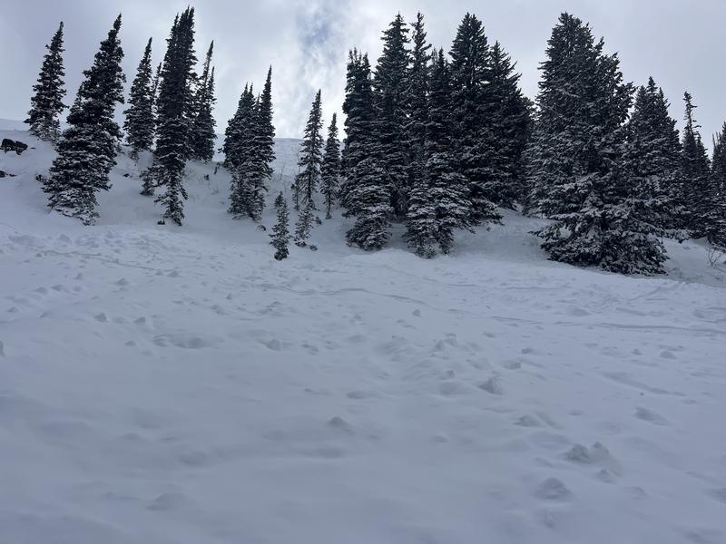 Son left to get help moments before fatal Utah avalanche killed his father, report says