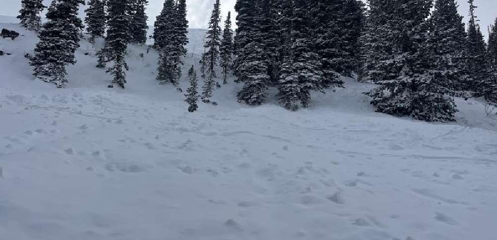 Son left to get help moments before fatal Utah avalanche killed his father, report says