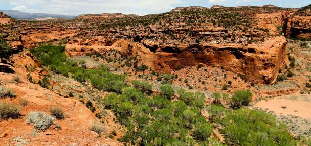 Utah Republicans move to reverse Biden-era regulations for Grand Staircase-Escalante