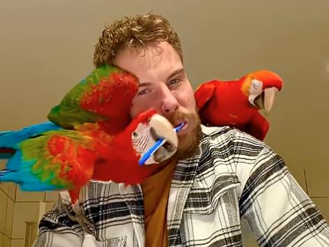 Have You Seen This? Brush your teeth smarter, not harder