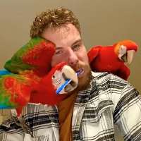 Have You Seen This? Brush your teeth smarter, not harder