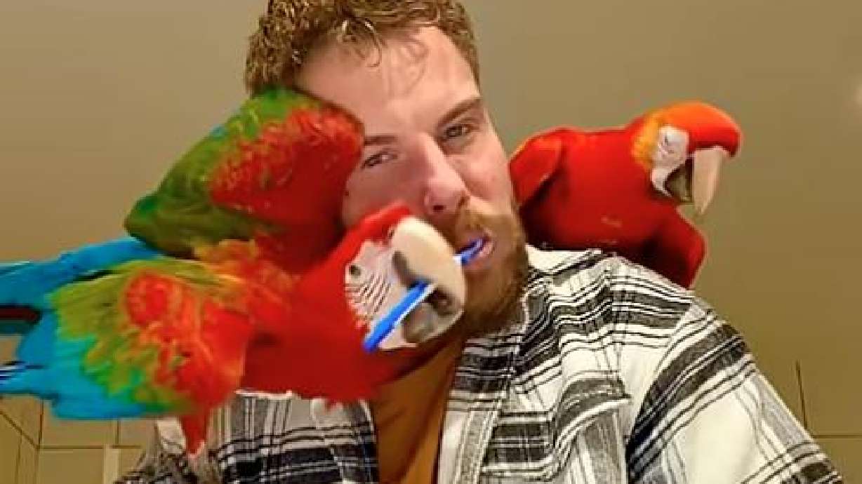 A parrot helps with daily habits in this video from Budapest, Hungary on Jan. 6.