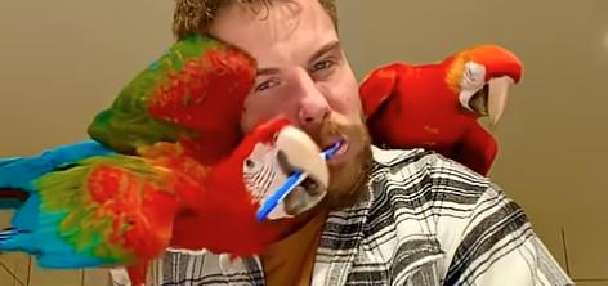 Top Features story anchor