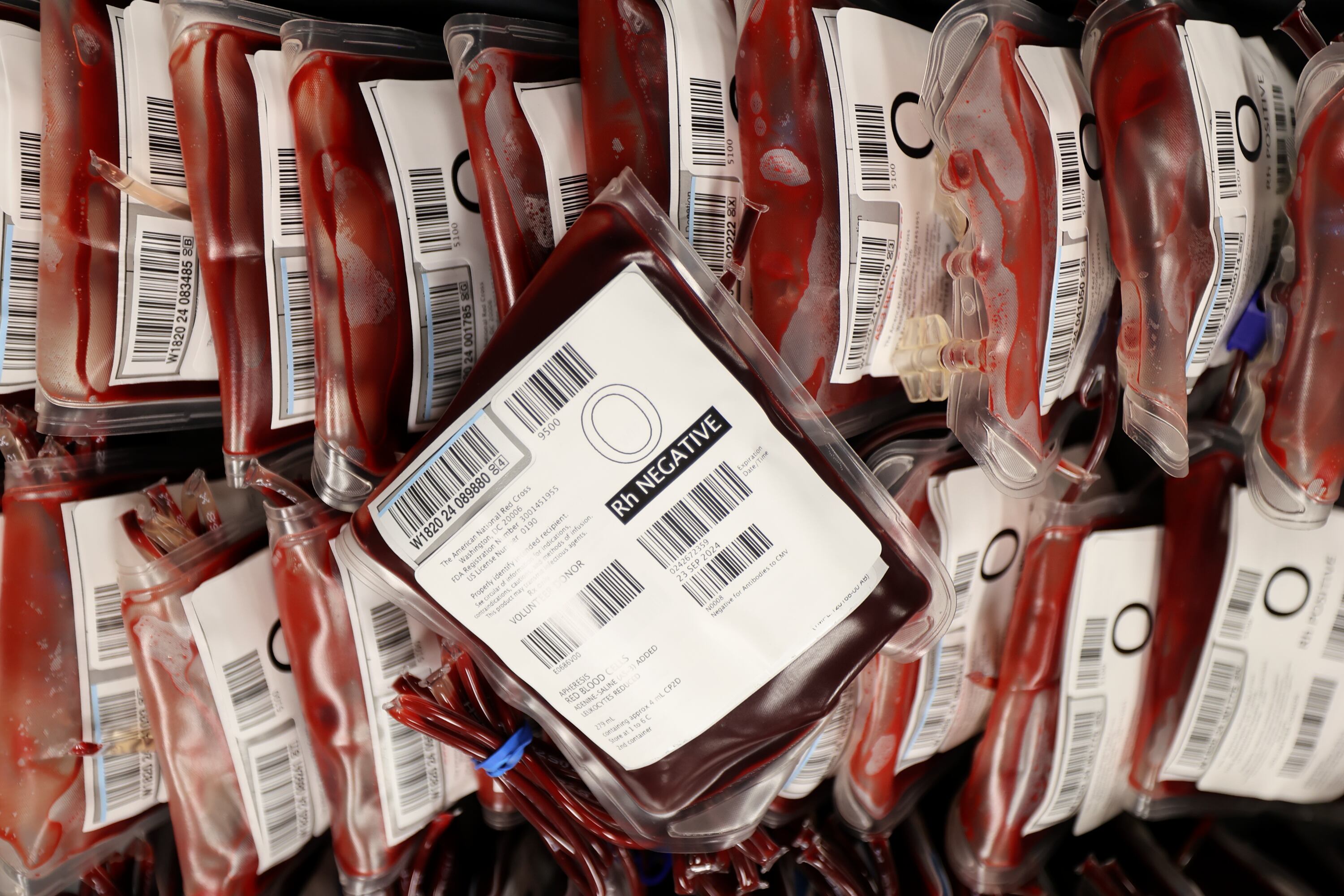 Units of red blood cells are pictured at the American Red Cross Blood Donation Center and Lab in Murray on Aug. 15, 2024.
