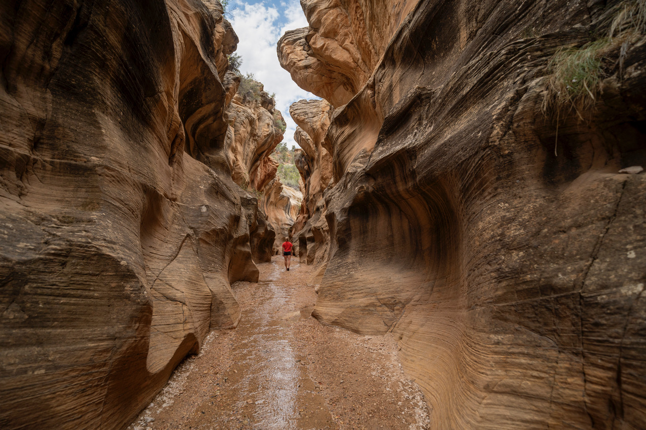 Bryce Canyon's best-kept secret? 4 epic backcountry adventures beyond the crowds 