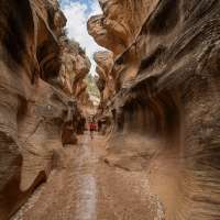 Bryce Canyon's best-kept secret? 4 epic backcountry adventures beyond the crowds