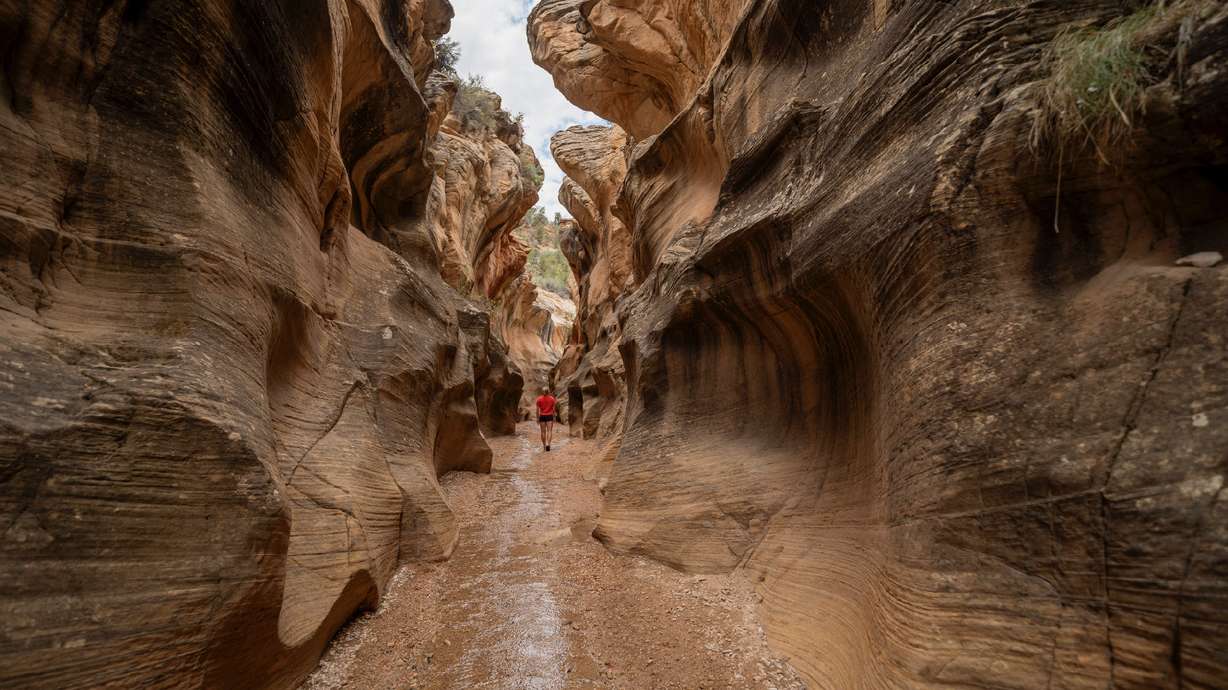 Bryce Canyon's best-kept secret? 4 epic backcountry adventures beyond the crowds