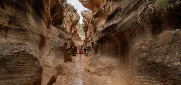 Bryce Canyon's best-kept secret? 4 epic backcountry adventures beyond the crowds
