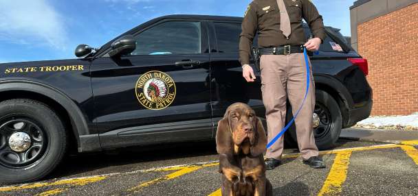 Top U.S. story anchor