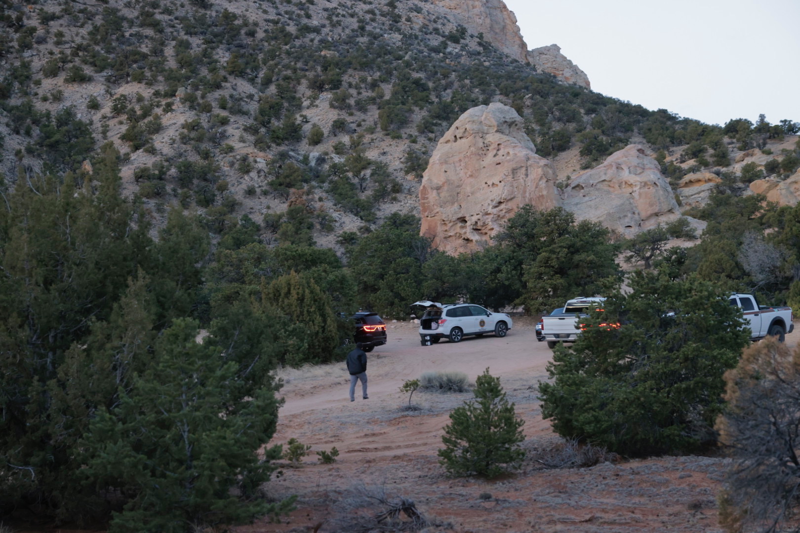 Suspect in custody after 3 women found dead in Wayne County, police say