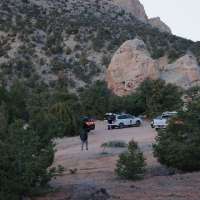 3 women found dead in Wayne County; suspect still at large, police say