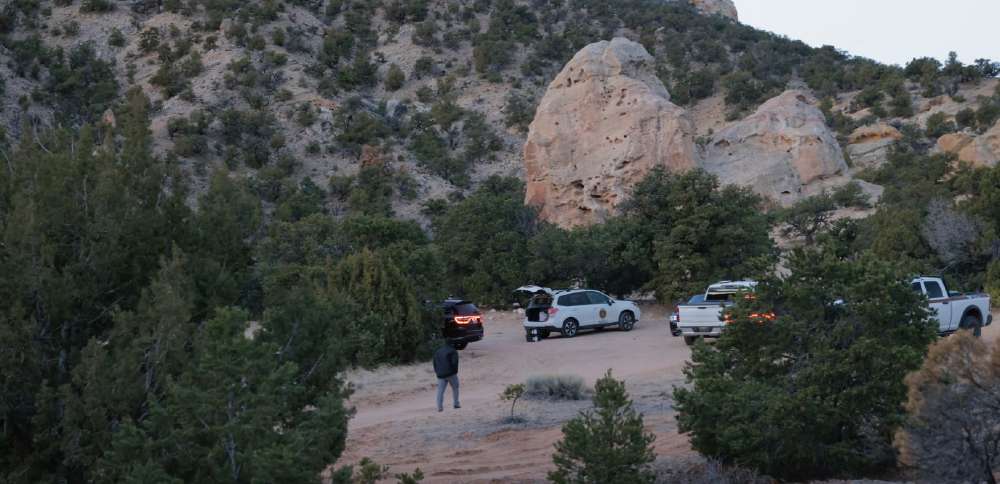 Suspect in custody after 3 women found dead in Wayne County, police say