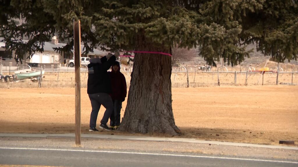 'A real gut punch': Lyman mayor mourns relative among 3 women killed 