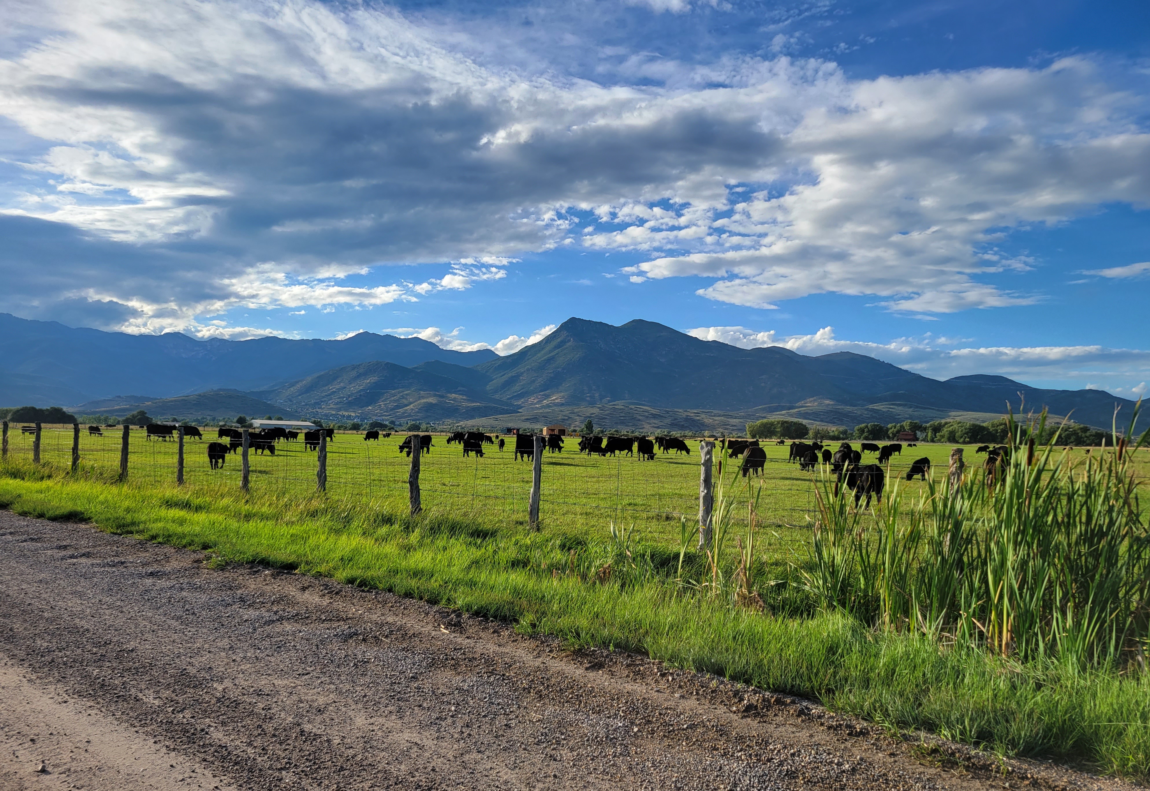 Heber City farmers speak out against potential US 40 bypass 