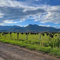 Heber City farmers speak out against potential US 40 bypass