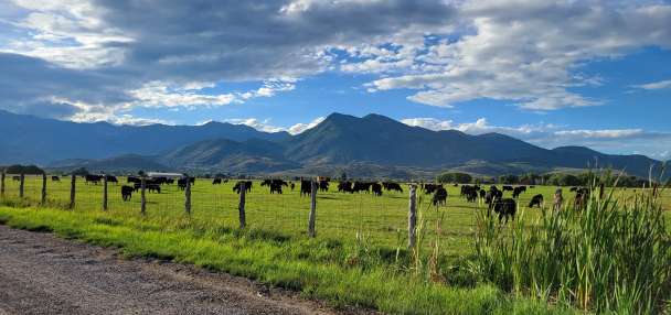 Heber City farmers speak out against potential US 40 bypass