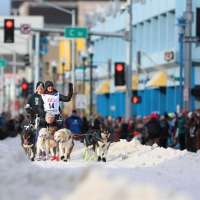 What to know: Downtown Anchorage braces for a canine takeover as the Iditarod's 54th run begins