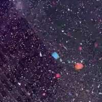 Have You Seen This? Who's gonna clean up all this confetti?