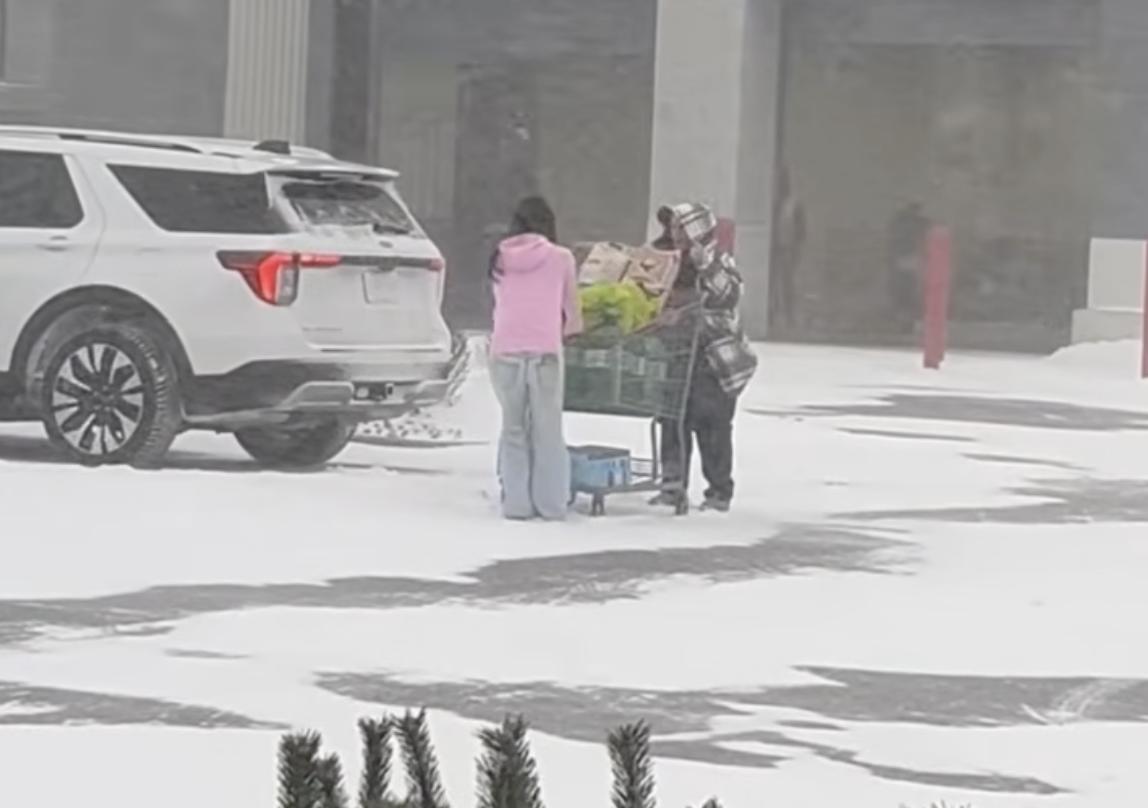 Have You Seen This? Youngster helps pull stuck shopping cart out of snow 