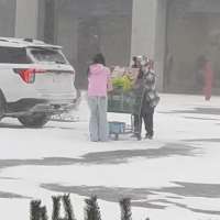 Have You Seen This? Youngster helps pull stuck shopping cart out of snow