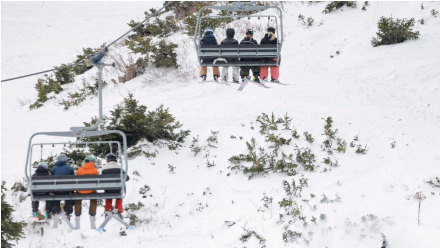 Skier dies after hitting tree at Alta Ski Area