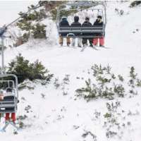 Skier dies after hitting tree at Alta Ski Area