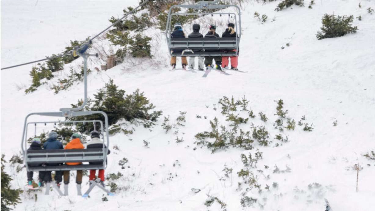 A man died Sunday afternoon after hitting a tree while skiing at Alta Ski Area.