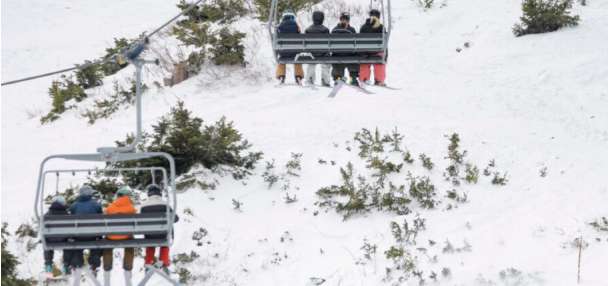 Skier dies after hitting tree at Alta Ski Area