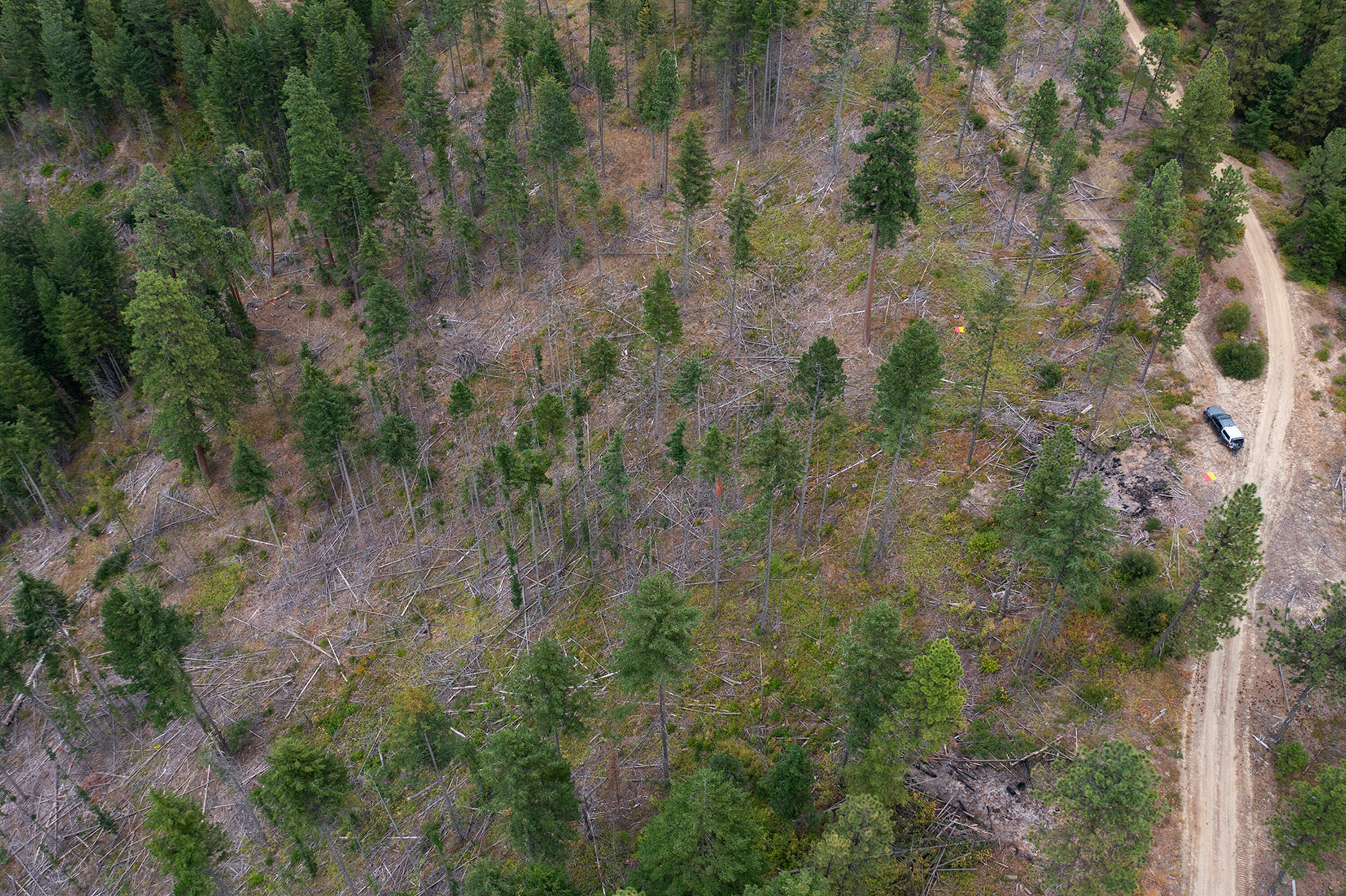 University of Washington researchers find that modern forest thinning techniques inspired by Indigenous practices not only reduce wildfire risk but also significantly increase snowpack, bolstering water supply in the Cascade Mountain region. The observational data from experimental thinning of 12 plots in Washington was published in the Frontiers in Forests and Global Change journal on March 3.