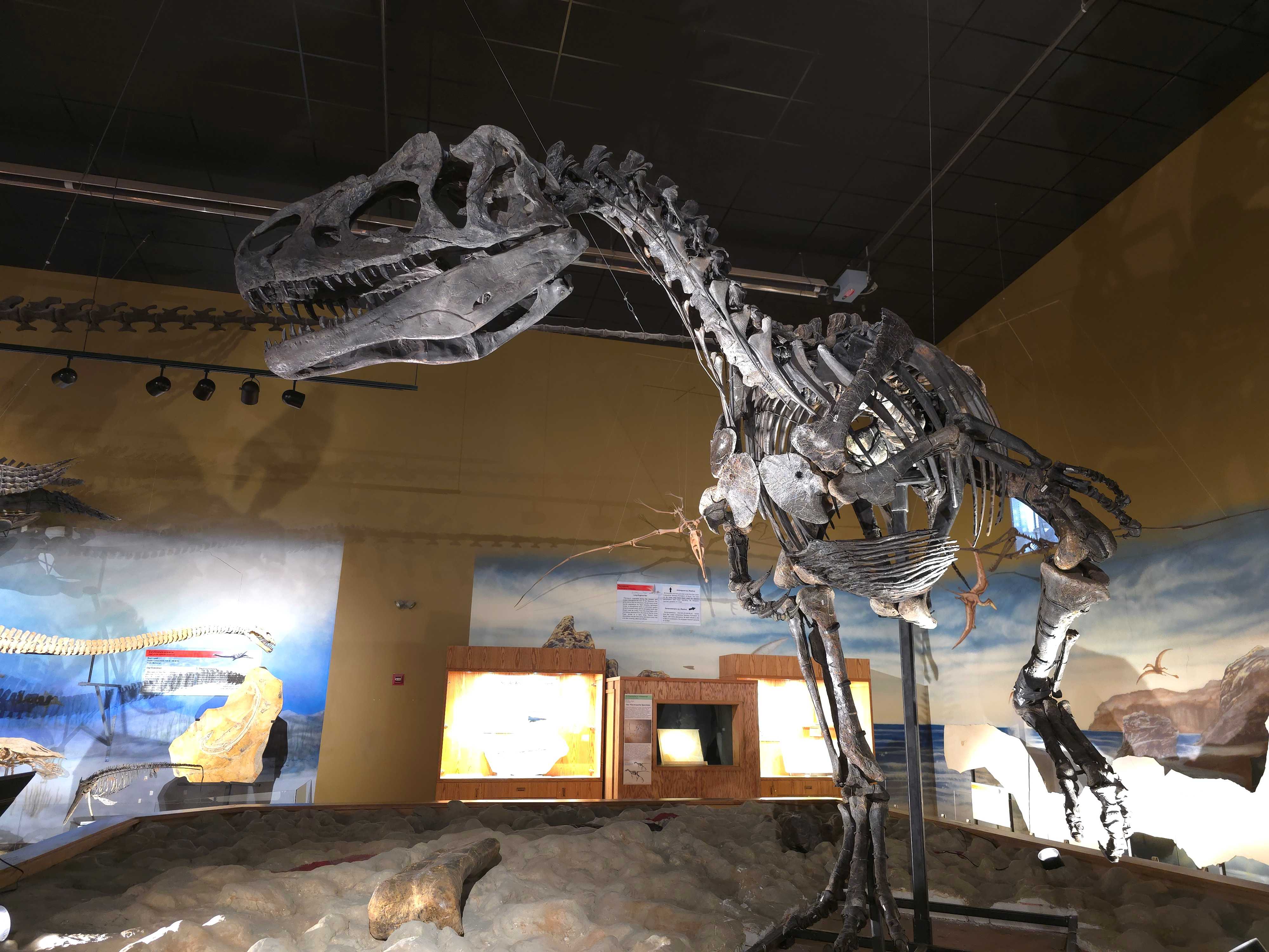 Unearth our prehistoric past at the Wyoming Dinosaur Center in Thermopolis