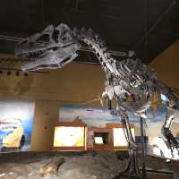 Unearth the prehistoric past at the Wyoming Dinosaur Center in Thermopolis